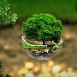 SDC International Design Competition